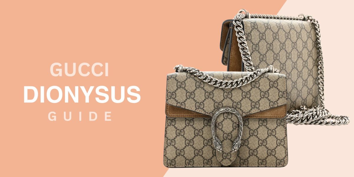 Dionysus Bag Guide