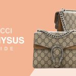 Dionysus Bag Guide
