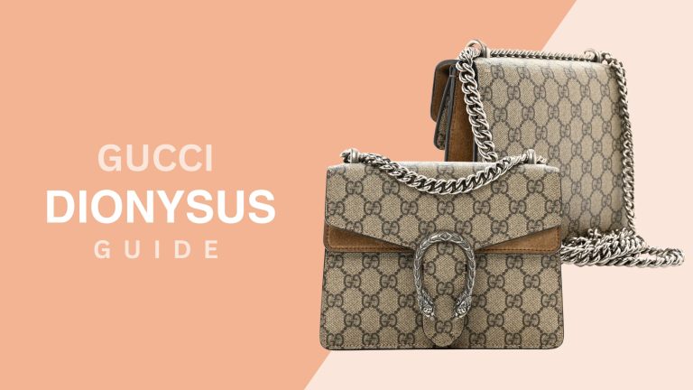 Dionysus Bag Guide
