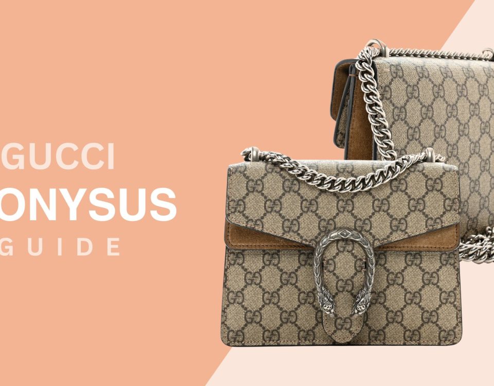 Dionysus Bag Guide