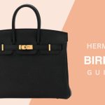 Hermes Birkin Guide